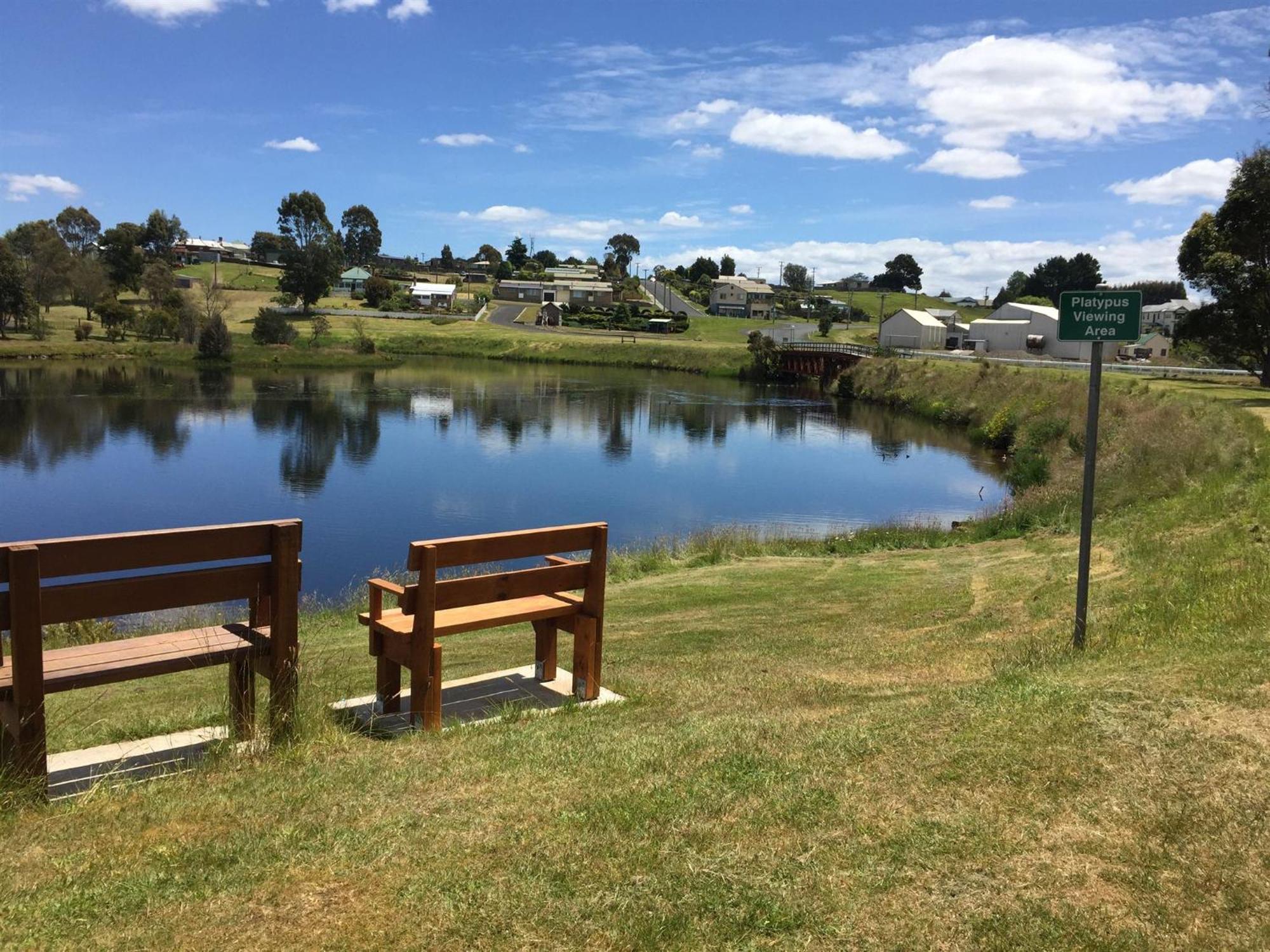Waratah Waterfall Retreat Unit 1 Free Pay Tv In Two Rooms Free Wifi 外观 照片